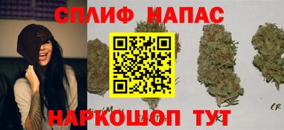 apvp Заволжье