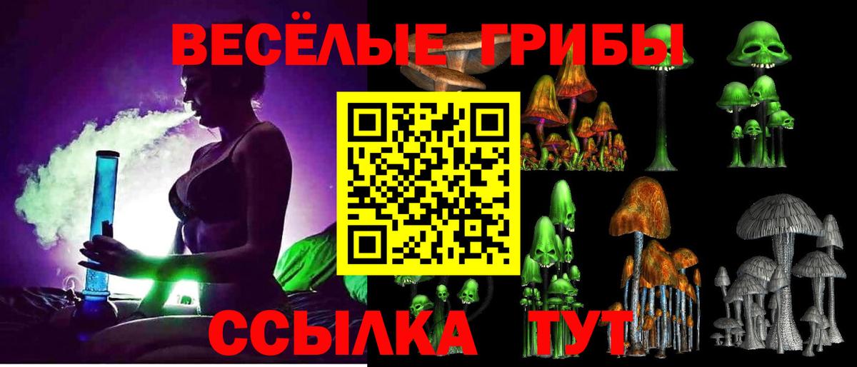 Галлюциногенные грибы Cubensis  Вход с VPN  Дагестанские Огни  Галлюциногенные грибы Psilocybe 